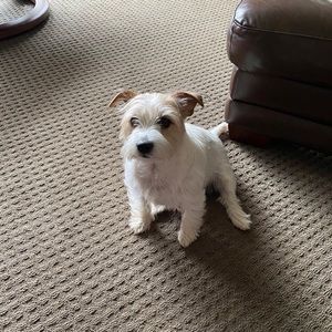 Meet your Posher, Martha